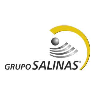 Grupo Salinas Logo PNG Vector