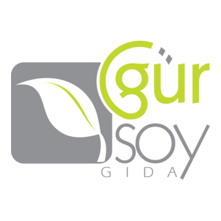 Gursoy Logo PNG Vector