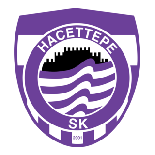 Hacettepe Logo PNG Vector