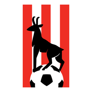 Hergiswil Logo PNG Vector