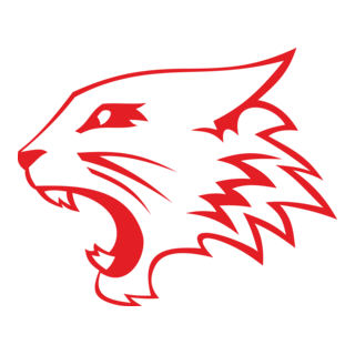 HIGH SCHOOL MUSICAL WILDCATS Logo PNG Vector