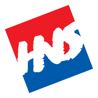 HNS Logo PNG Vector