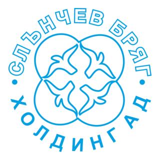 Holding AD Logo PNG Vector