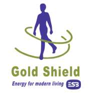 Gold Shield Logo PNG Vector