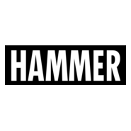 Hammer Logo PNG Vector