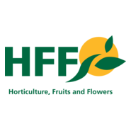 HFF Logo PNG Vector