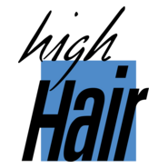 High Hair Logo PNG Vector