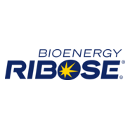 Bioenergy Ribose Logo PNG Vector