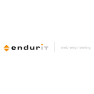 endurit web engineering Logo PNG Vector