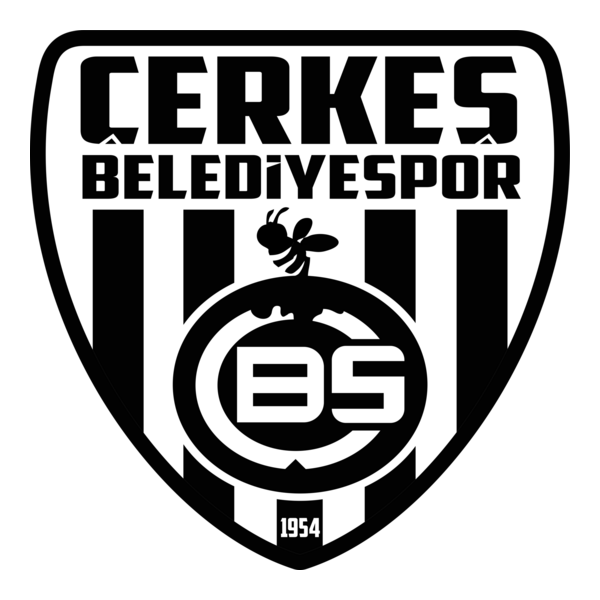 Çerkeş Belediye Spor Logo PNG Vector