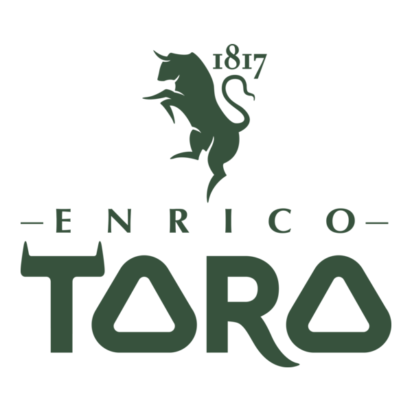 Enrico Toro Srl Logo PNG Vector