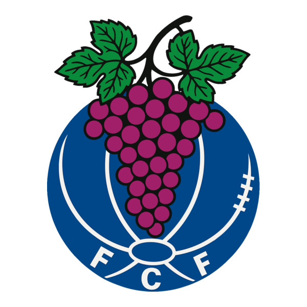 FUTEBOL CLUBE DE FONTELAS Logo PNG Vector