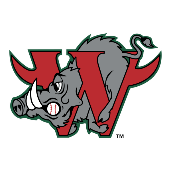 Winston Salem Warthogs Logo PNG Vector