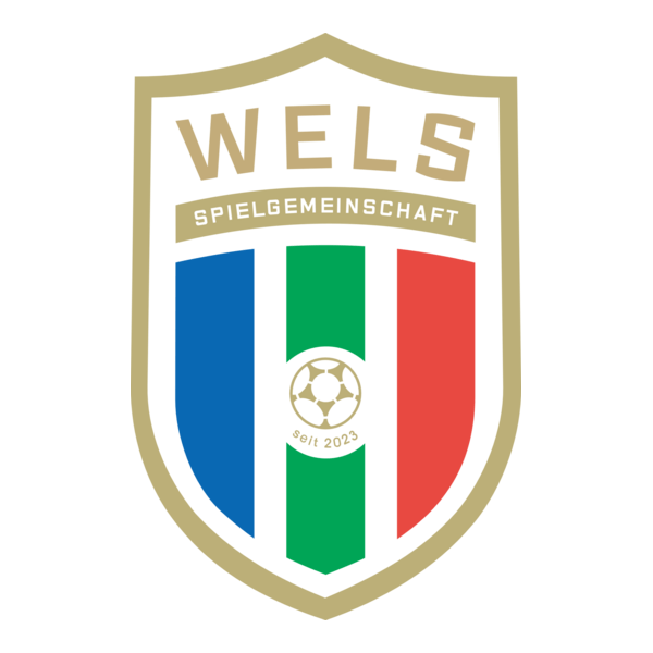 WSPG HOGO Wels Logo PNG Vector