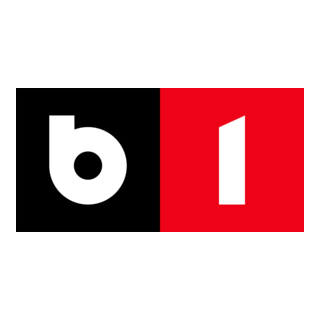 B1 TV Logo PNG Vector
