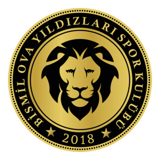 Bismil Ova Yıldızları Spor Logo PNG Vector