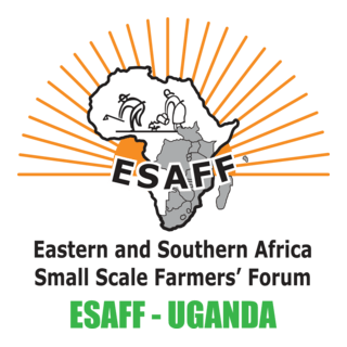 ESAFF Logo PNG Vector