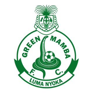 Green Mamba FC Logo PNG Vector