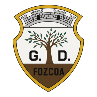 GRUPO DESPORTIVO DE VILA NOVA DE FOZ CÔA Logo PNG Vector