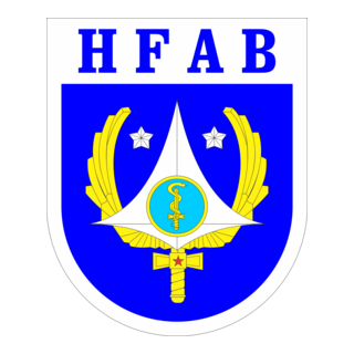 HFAB - HOSPITAL DE FORÇA AÉREA BRASILEIRA Logo PNG Vector