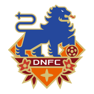Jiangxi Dingnan United FC Logo PNG Vector