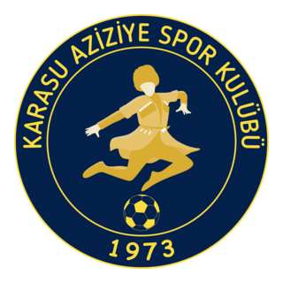 Karasu Aziziye Spor Logo PNG Vector