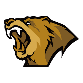 Lynn Vision Gaming Logo PNG Vector