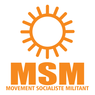 MSM Logo PNG Vector