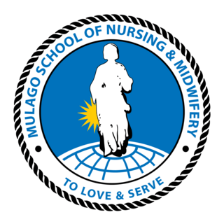 Mulago School of Nursing and Midwifery (MSNM) Logo PNG Vector