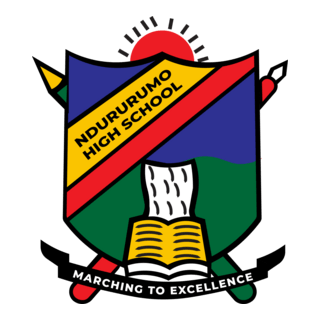 NDURURUMO HIGH SCHOOL Logo PNG Vector