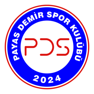 Payas Demir Spor Logo PNG Vector