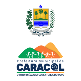PREFEITURA DE CARACOL PI Logo PNG Vector