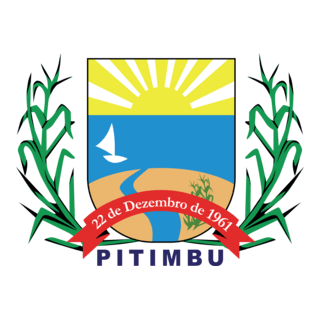 Prefeitura Municipal de Pitimbu Logo PNG Vector