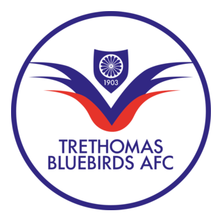Trethomas Bluebirds FC Logo PNG Vector
