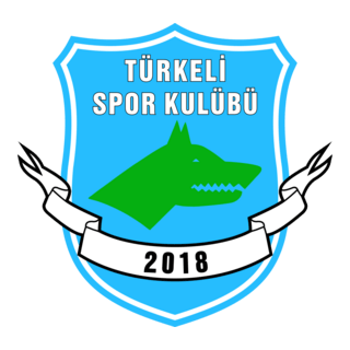 Türkeli Spor Logo PNG Vector