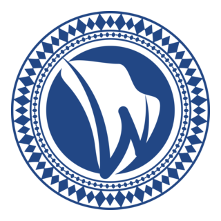 Washa Studios Logo PNG Vector