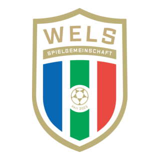 WSPG HOGO Wels Logo PNG Vector