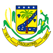 BRASÃO DA CIDADE DE ITAGUATINS Logo PNG Vector