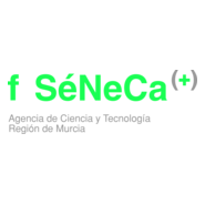 Fundacion Seneca Logo PNG Vector
