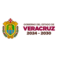 Gobierno de Veracruz 2024 - 2030 Logo PNG Vector