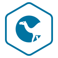 Perl Logo PNG Vector