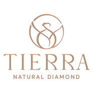 Tierra Logo PNG Vector