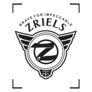 zriels Logo PNG Vector