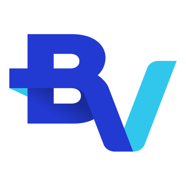 Banco BV Logo PNG Vector