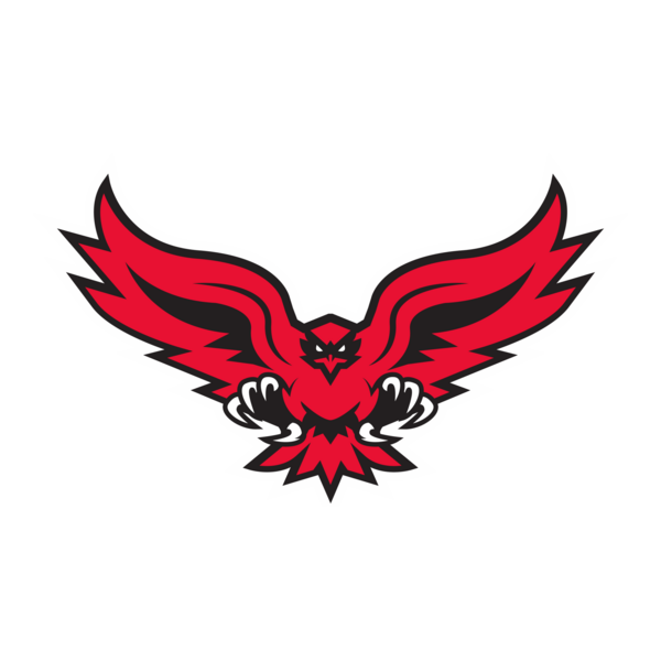 Hartford Hawks Logo PNG Vector