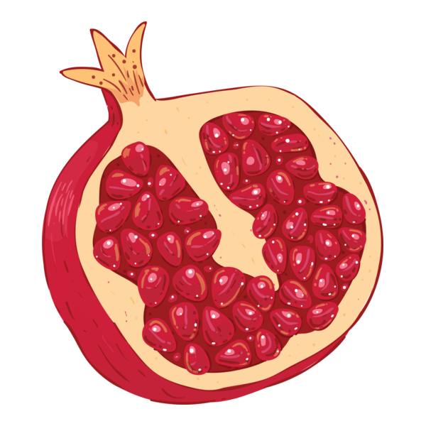 Pomegranate / ডালিম Logo PNG Vector