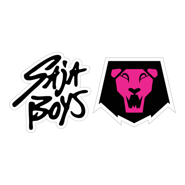 SAJA BOYS HUNTRIX Logo PNG Vector