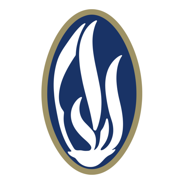 SV Sturm 1904 Chemnitz Logo PNG Vector