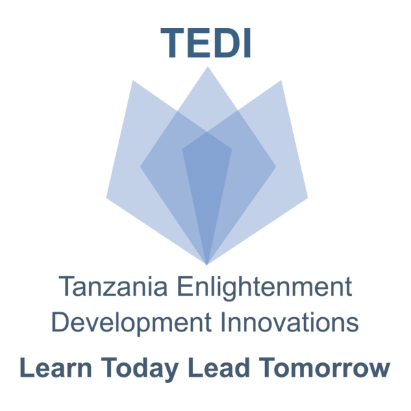 Tanzania Enlightenment Development Innovations Logo PNG Vector