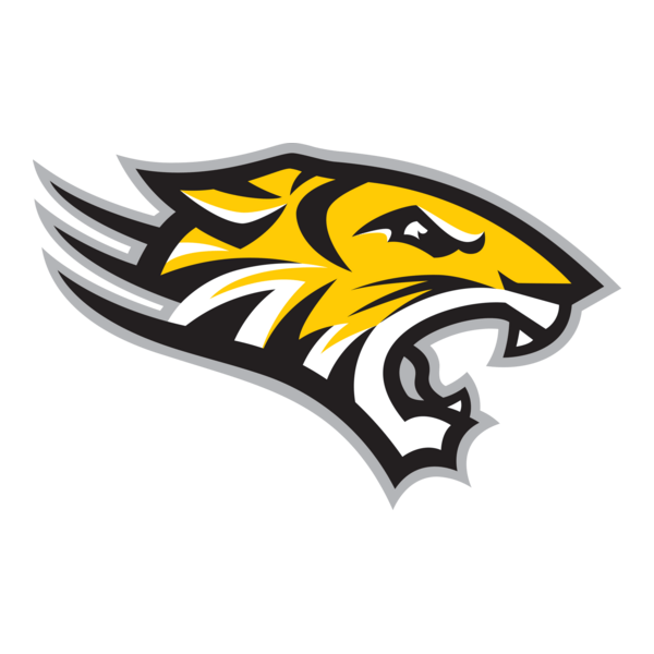 Towson Tigers Logo PNG Vector